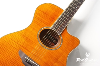 APX-600FM - Amber